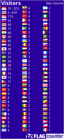 Flag Counter