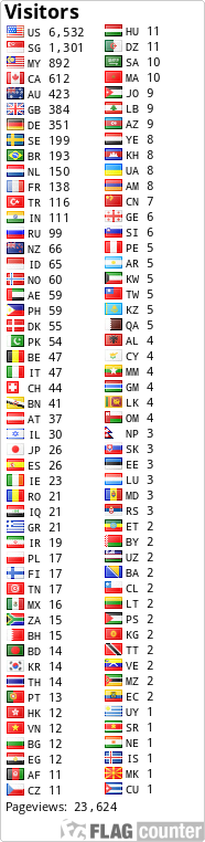 Flag Counter