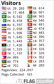 Flag Counter