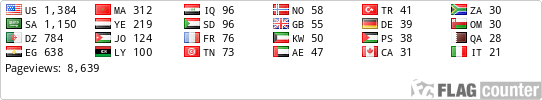 Flag Counter