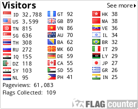 Flag Counter