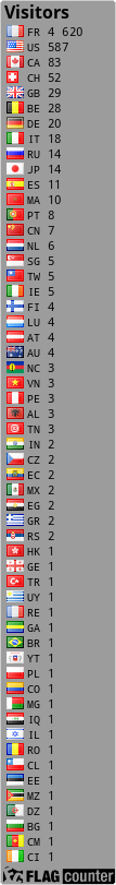 Flag Counter