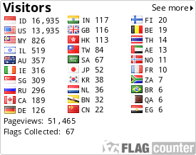 Flag Counter