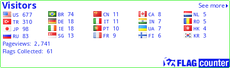 Flag Counter