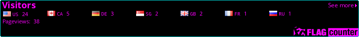 Flag Counter