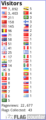 Flag Counter