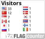 Visitor Flags_0