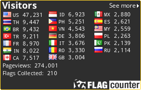 Flag Counter