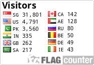 Flag Counter