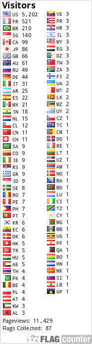 Flag Counter