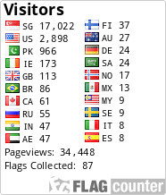 Flag Counter