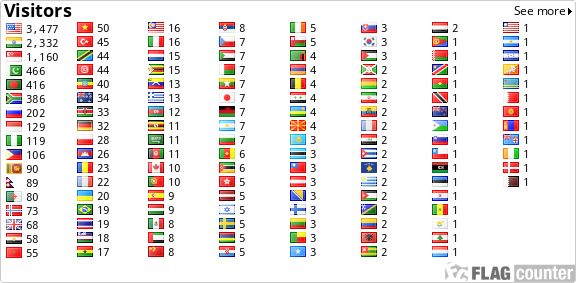 Flag Counter