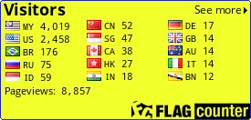 Flag Counter