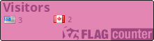 Chat Flags_0