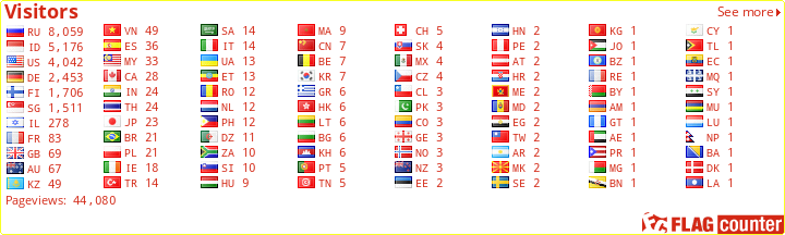 Flag Counter
