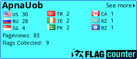 Flag Counter