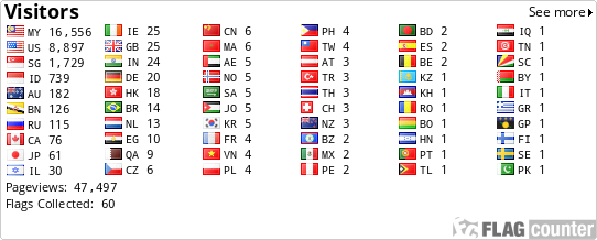 Flag Counter