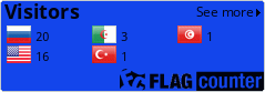 Flag Counter