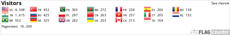 Flag Counter