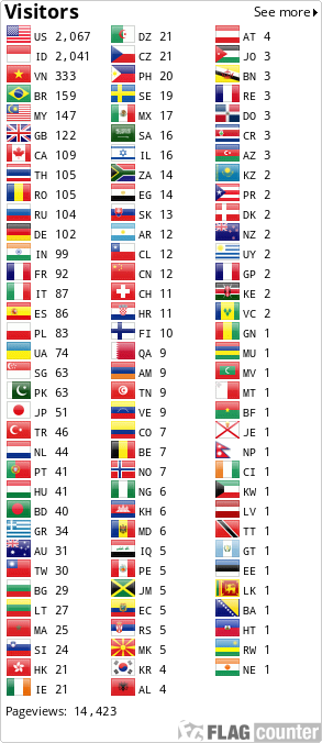 Flag Counter