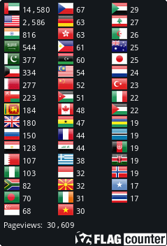 Flag Counter