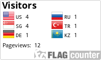 Flag Counter