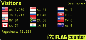 Flag Counter