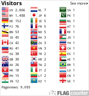 Flag Counter