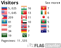 Flag Counter
