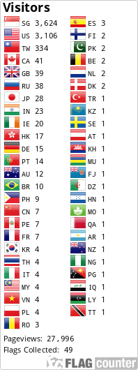 Flag Counter