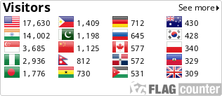 Flag Counter