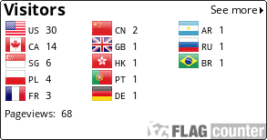 Flag Counter