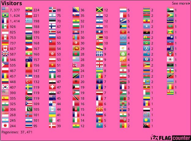 Flag Counter