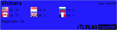 Flag Counter