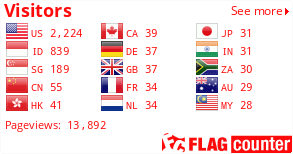 Flag Counter