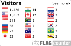 Flag Counter