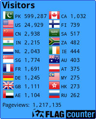 Flag Counter