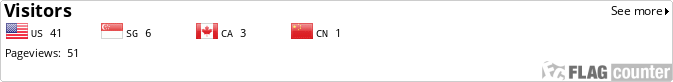 Flag Counter