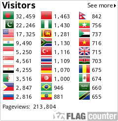 Flag Counter