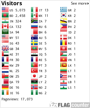 Flag Counter