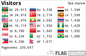 Flag Counter