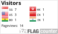 Flag Counter