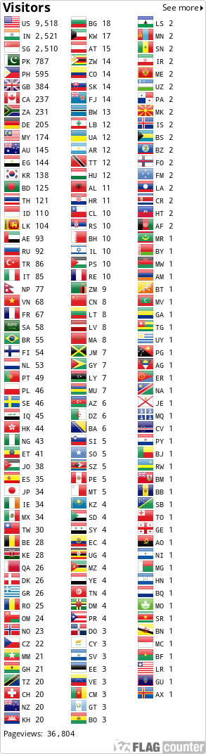 Flag Counter