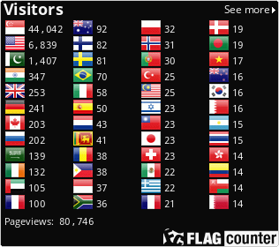 Flag Counter