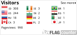Flag Counter