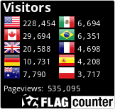 Flag Counter