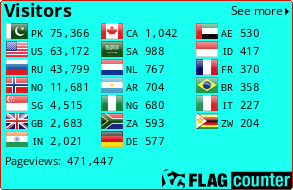 Flag Counter