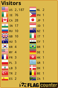 Flag Counter