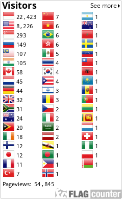 Flag Counter