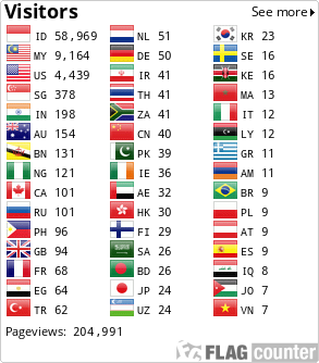 Flag Counter